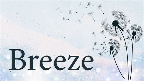 rbrezze|breeze in spanish.